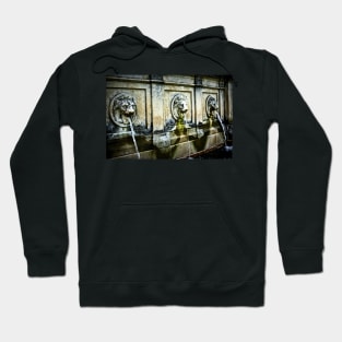 Three Lions Fountain Hoodie